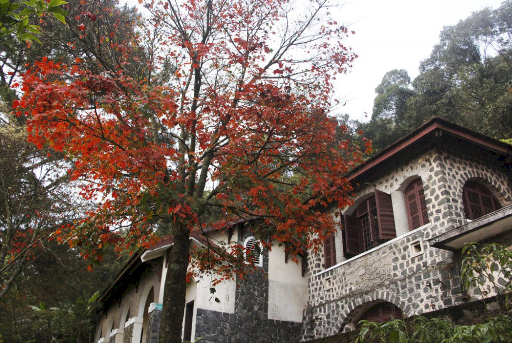 The abandoned French colonial villas scattered throughout Bach Ma tell the story of the park's unique history as a hill station retreat 